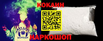 молекула духа Будённовск