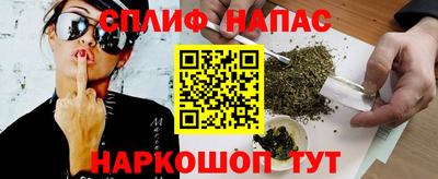 молекула духа Будённовск