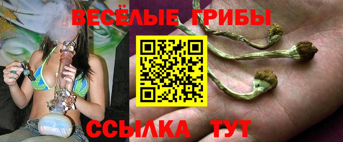 Галлюциногенные грибы GOLDEN TEACHER  закладки  Сатка  Вход с VPN 